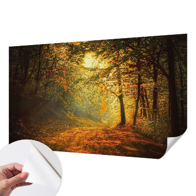 Carta da parati 3D Paesaggio autunnale