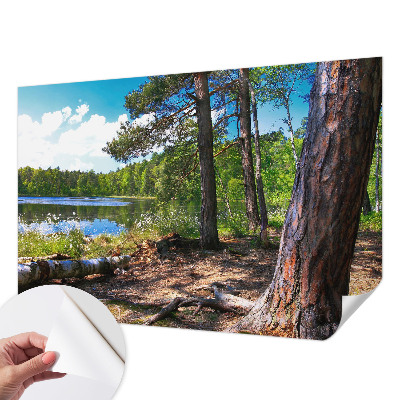 Carta da parati panoramica effetto 3D Paesaggio forestale