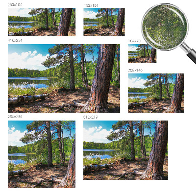 Carta da parati panoramica effetto 3D Paesaggio forestale