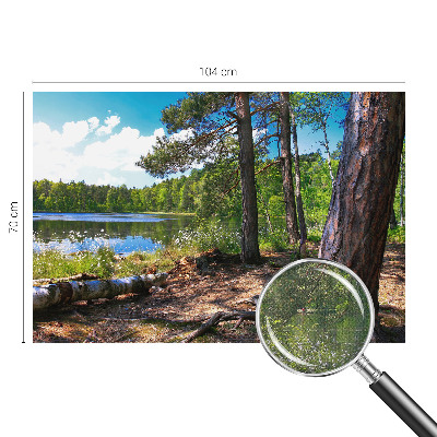 Carta da parati panoramica effetto 3D Paesaggio forestale