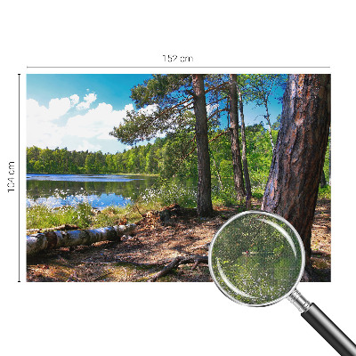 Carta da parati panoramica effetto 3D Paesaggio forestale