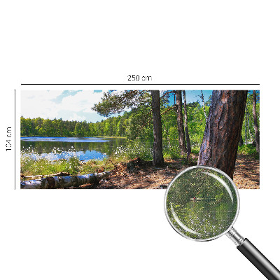 Carta da parati panoramica effetto 3D Paesaggio forestale