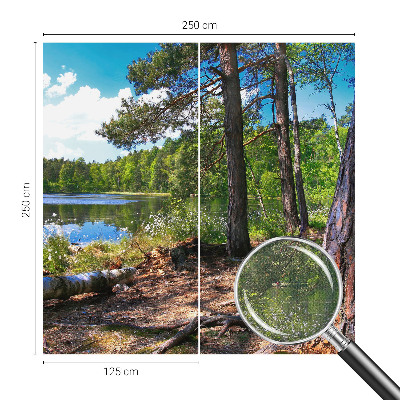 Carta da parati panoramica effetto 3D Paesaggio forestale