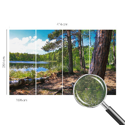 Carta da parati panoramica effetto 3D Paesaggio forestale