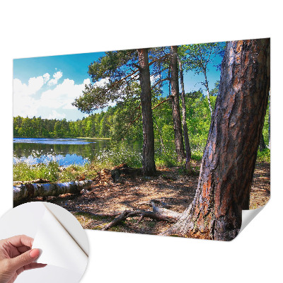 Carta da parati panoramica effetto 3D Paesaggio forestale