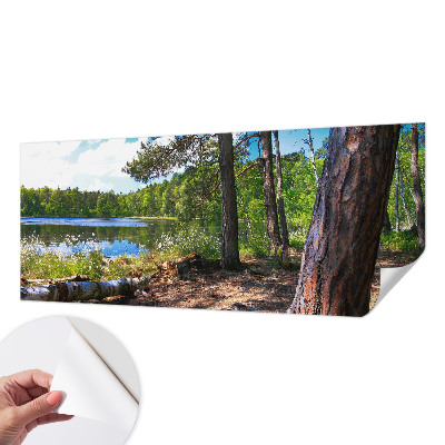 Carta da parati panoramica effetto 3D Paesaggio forestale