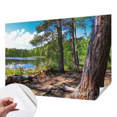 Carta da parati panoramica effetto 3D Paesaggio forestale
