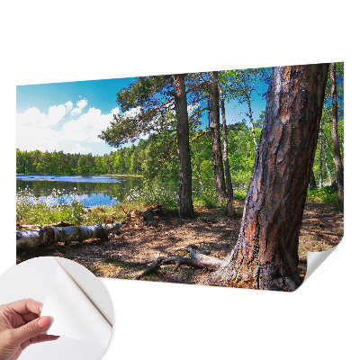 Carta da parati panoramica effetto 3D Paesaggio forestale