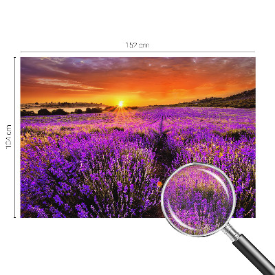 Carta da parati per cameretta Tramonto alla lavanda