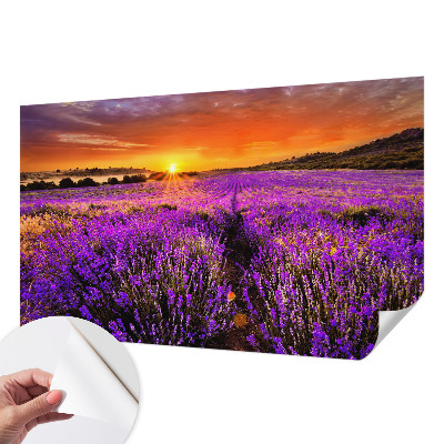 Carta da parati per cameretta Tramonto alla lavanda