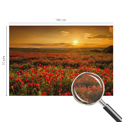 Carta da parati cameretta Campo di papaveri