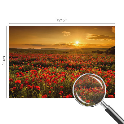 Carta da parati cameretta Campo di papaveri