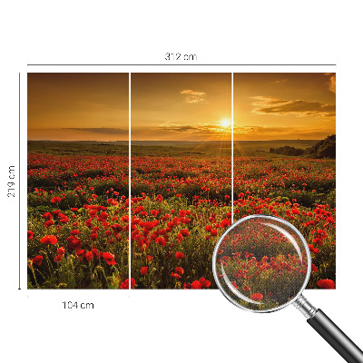 Carta da parati cameretta Campo di papaveri