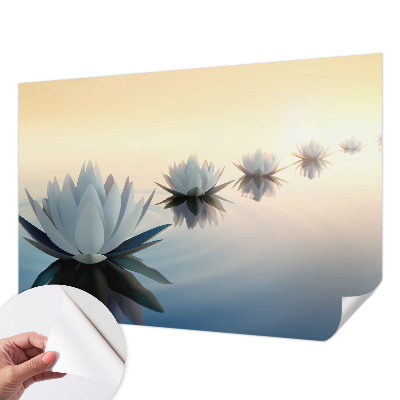 Fotomurale adesivo Vista tranquilla