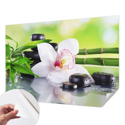 Carta da parati 3D La pace della natura