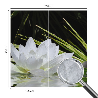 Carta da parati effetto profondità Meditazione di Lily