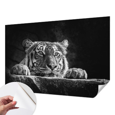 Fotomurale 3D Sguardo predatorio