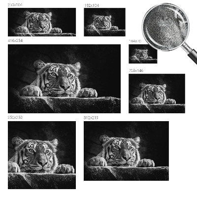 Fotomurale 3D Sguardo predatorio