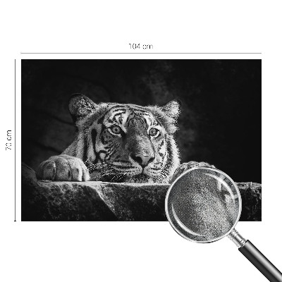 Fotomurale 3D Sguardo predatorio