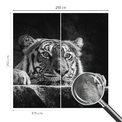 Fotomurale 3D Sguardo predatorio