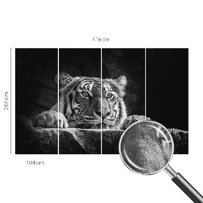 Fotomurale 3D Sguardo predatorio