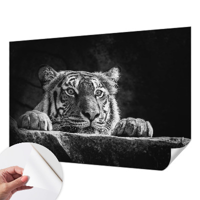 Fotomurale 3D Sguardo predatorio