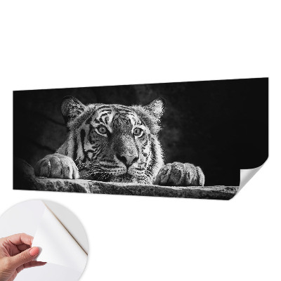 Fotomurale 3D Sguardo predatorio