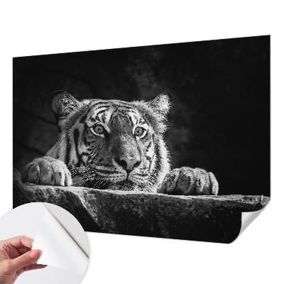 Fotomurale 3D Sguardo predatorio