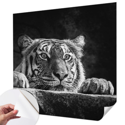 Fotomurale 3D Sguardo predatorio