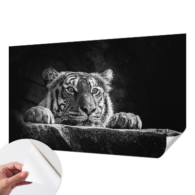 Fotomurale 3D Sguardo predatorio