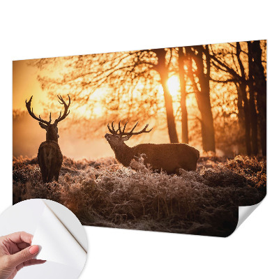 Carta da parati effetto profondità Cervi al mattino