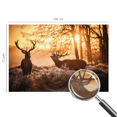 Carta da parati effetto profondità Cervi al mattino