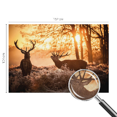 Carta da parati effetto profondità Cervi al mattino