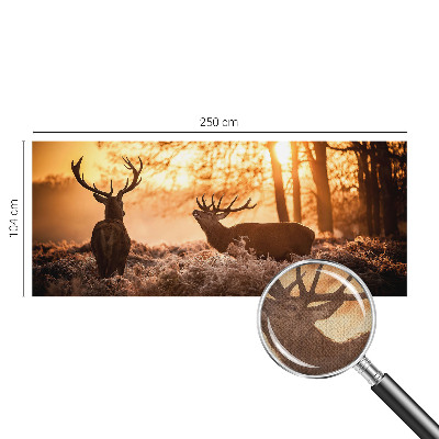 Carta da parati effetto profondità Cervi al mattino