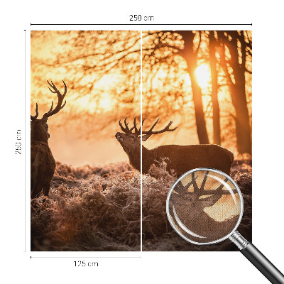 Carta da parati effetto profondità Cervi al mattino