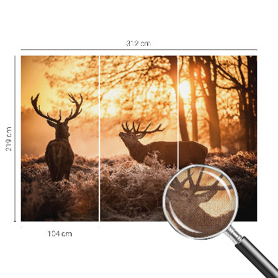 Carta da parati effetto profondità Cervi al mattino