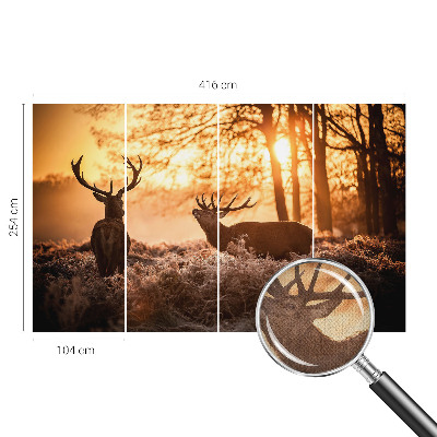 Carta da parati effetto profondità Cervi al mattino