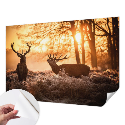 Carta da parati effetto profondità Cervi al mattino