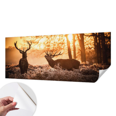 Carta da parati effetto profondità Cervi al mattino