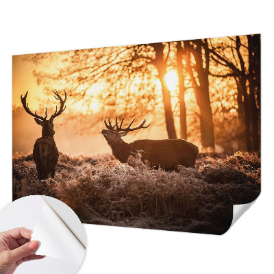 Carta da parati effetto profondità Cervi al mattino