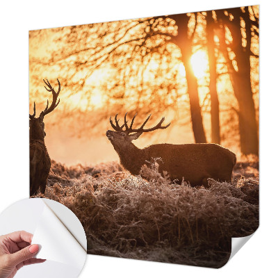 Carta da parati effetto profondità Cervi al mattino