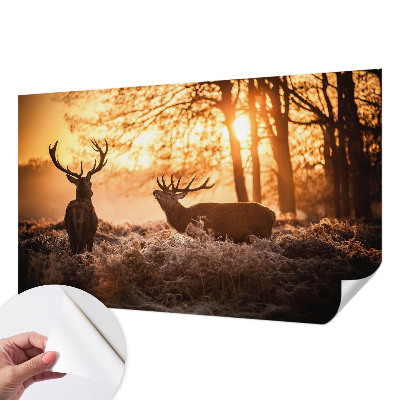 Carta da parati effetto profondità Cervi al mattino