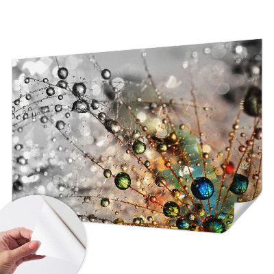 Fotomurale 3D Io metto gioielli di rugiada