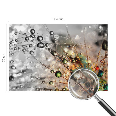 Fotomurale 3D Io metto gioielli di rugiada