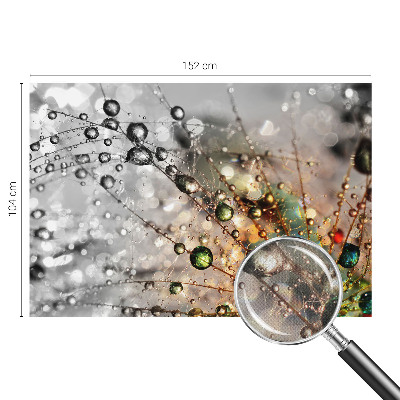 Fotomurale 3D Io metto gioielli di rugiada