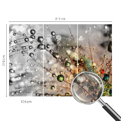 Fotomurale 3D Io metto gioielli di rugiada