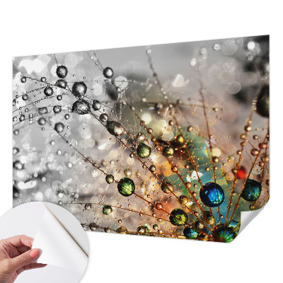 Fotomurale 3D Io metto gioielli di rugiada