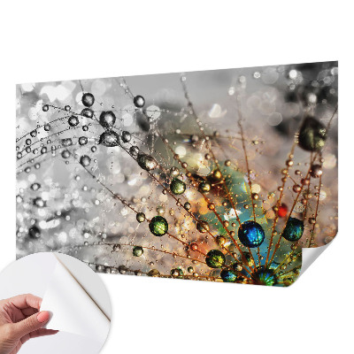 Fotomurale 3D Io metto gioielli di rugiada