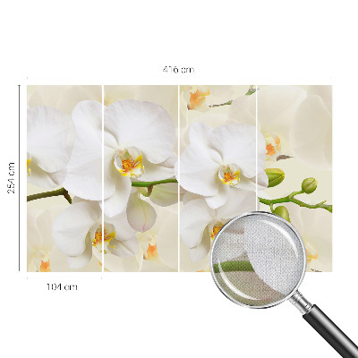 Fotomurale effetto 3D Ricchezza floreale