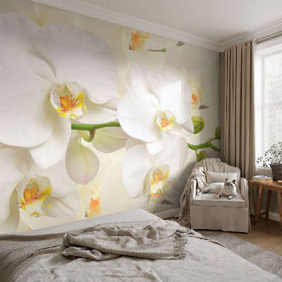 Fotomurale effetto 3D Ricchezza floreale